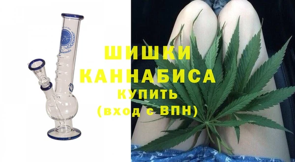 амф Осинники