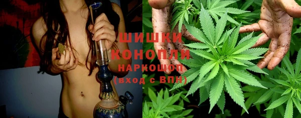 дживик Балахна
